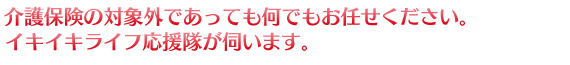 介護保険の対象外であってもイキイキライフ応援隊に何でもお任せください